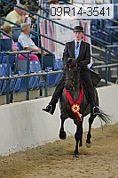 09r14-3541 thumbnail