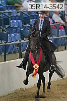 09r14-3542 thumbnail
