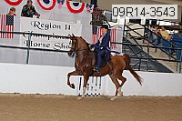09r14-3543 thumbnail