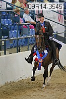 09r14-3545 thumbnail