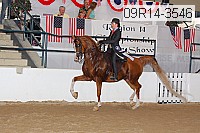 09r14-3546 thumbnail
