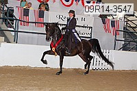 09r14-3547 thumbnail