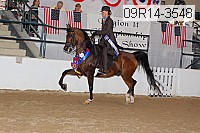 09r14-3548 thumbnail
