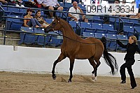 09r14-3634 thumbnail
