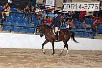 09r14-3776 thumbnail