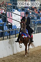 09r14-3839 thumbnail