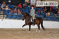 09r14-3869 thumbnail