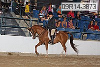 09r14-3873 thumbnail