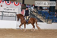09r14-3889 thumbnail