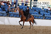 09r14-3960 thumbnail