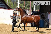 09r2-1841 thumbnail