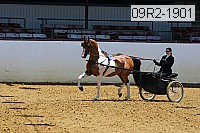 09r2-1901 thumbnail
