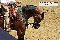 09r2-2178 thumbnail