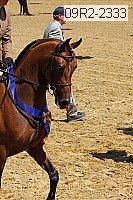 09r2-2333 thumbnail