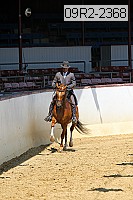 09r2-2368 thumbnail