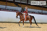 09r2-2481 thumbnail