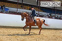 09r2-2524 thumbnail
