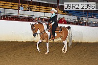 09r2-2896 thumbnail