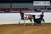 09r2-2934 thumbnail