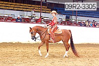 09r2-3305 thumbnail