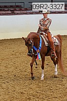 09r2-3327 thumbnail