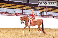 09r2-3332 thumbnail