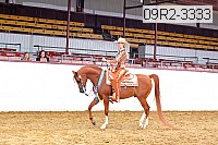 09r2-3333 thumbnail