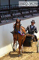 09r2-3529 thumbnail
