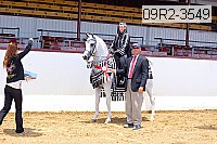 09r2-3549 thumbnail