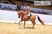 09r2-3683 thumbnail