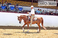 09r2-3689 thumbnail
