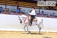 09r2-3725 thumbnail