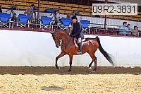 09r2-3831 thumbnail