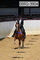 09r2-3904 thumbnail