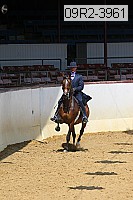 09r2-3961 thumbnail