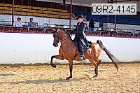 09r2-4145 thumbnail