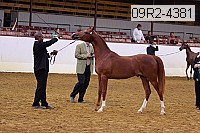 09r2-4381 thumbnail