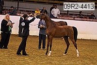 09r2-4413 thumbnail