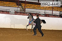09r2-4446 thumbnail