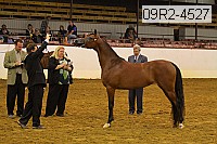 09r2-4527 thumbnail