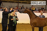 09r2-4539 thumbnail