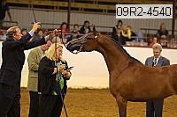 09r2-4540 thumbnail