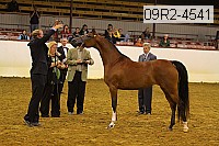 09r2-4541 thumbnail