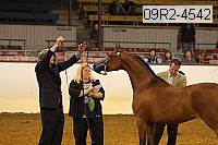 09r2-4542 thumbnail