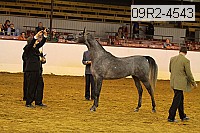 09r2-4543 thumbnail