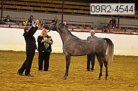 09r2-4544 thumbnail