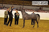 09r2-4545 thumbnail