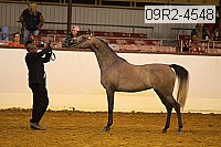 09r2-4548 thumbnail