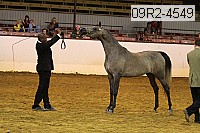 09r2-4549 thumbnail