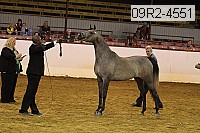 09r2-4551 thumbnail